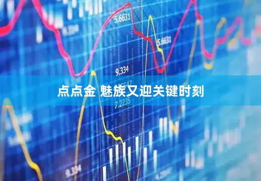 点点金 魅族又迎关键时刻